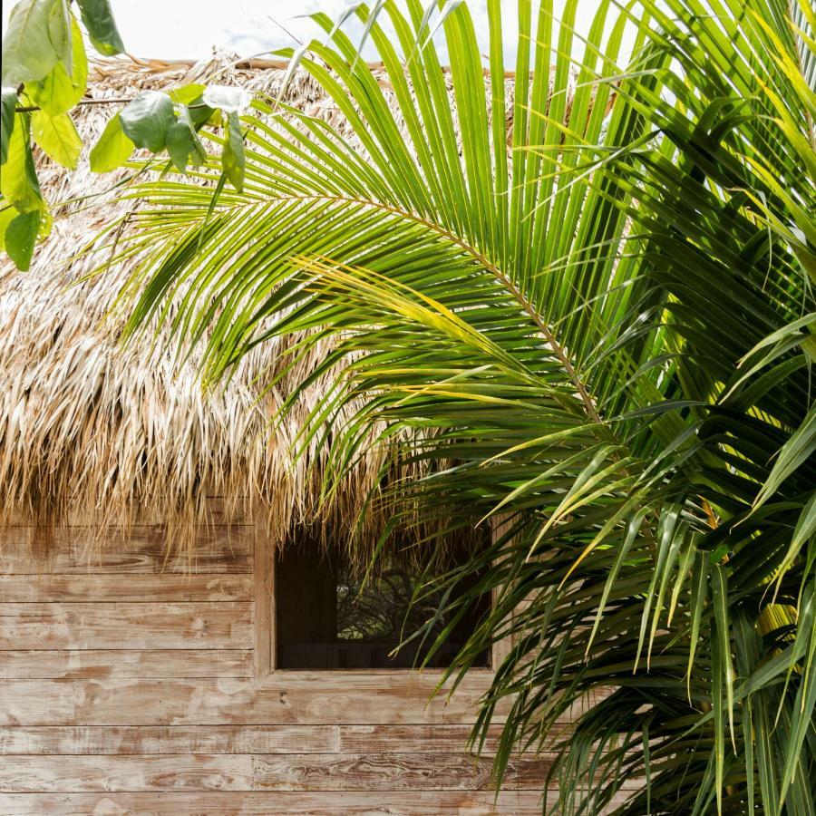 Suyo Cabanas Popoyo | Hotel Suyo El Limón Εξωτερικό φωτογραφία
